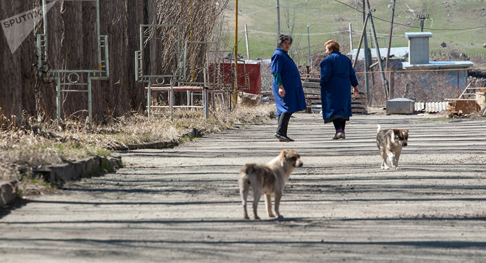 Արագածոտնի մարզում թափառող շները հարձակվել են տարեց կնոջ վրա. նա մահացել է