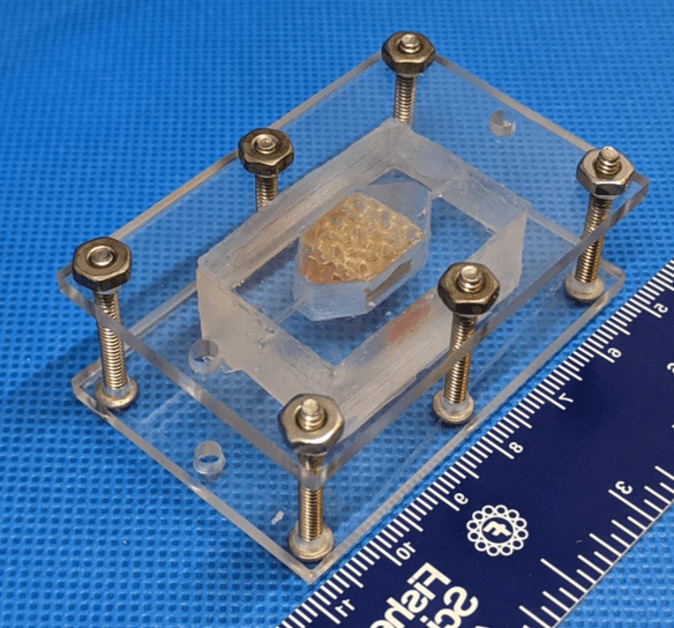 Գիտնականները 3D տպիչով մարդու լյարդի նմուշ են ստեղծել` ռեկորդային չափերով