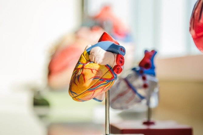 ԱՄՆ–ում առաջին անգամ ամբողջովին արհեստական սիրտ է փոխպատվաստվել