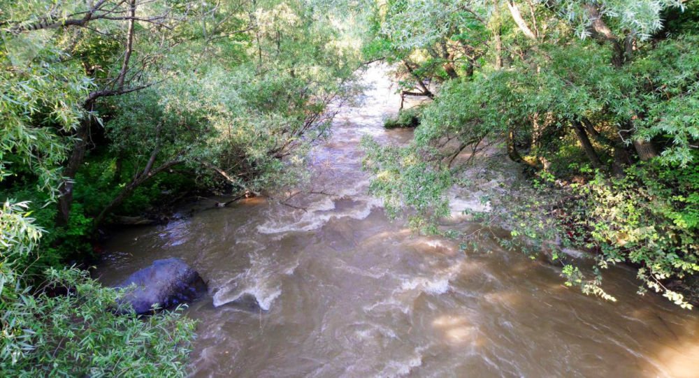 Ադրբեջանից եկող գետերի ջրի որակը պետք է թունաբանական մոնիթորինգի ենթարկվի. Գաբրիելյան