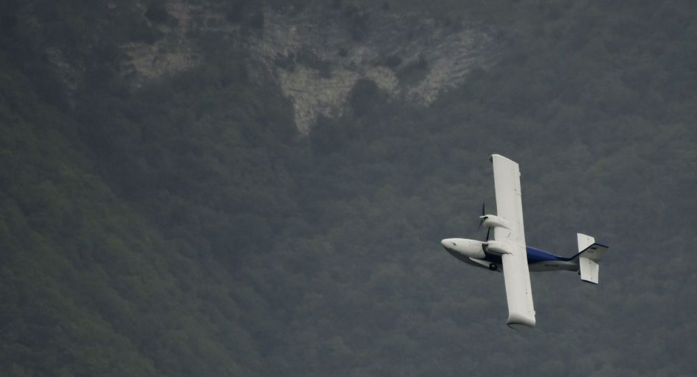Լիբանանում վթարի ենթարկված ինքնաթիռի օդաչուն հայ էր. ԶԼՄ
