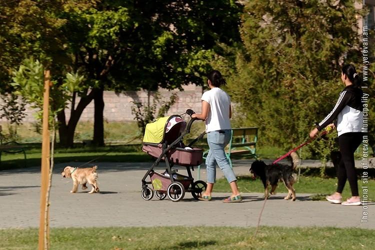 Ընտանի շների համար Երևանում հատուկ զբոսայգիներ կստեղծվեն